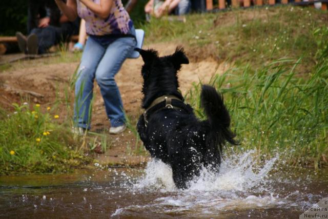 Фотография № 30482