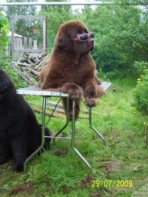 Фотография № 30559