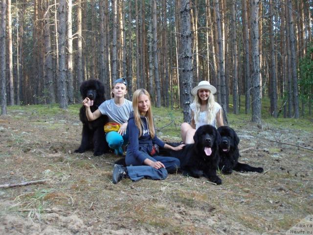 Фотография № 30651