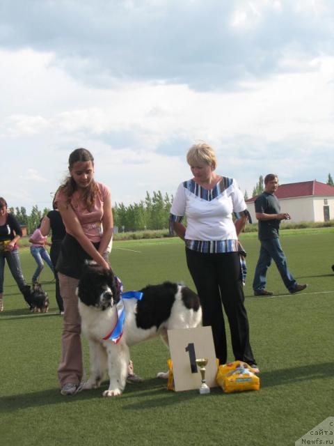 Фотография № 30667