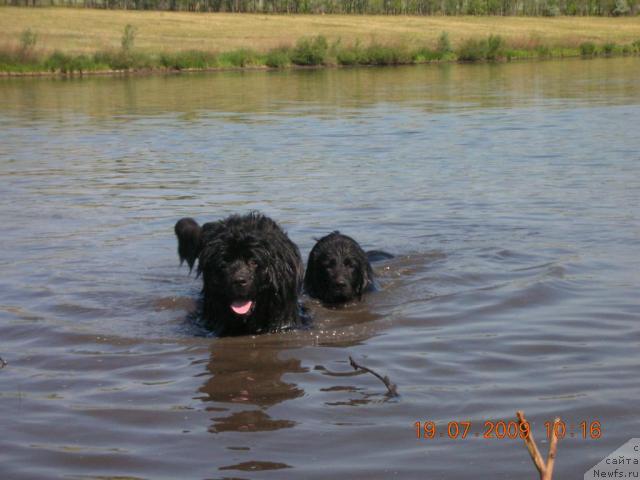 Фото: [d8616] и Гералис Уэлси Диметра