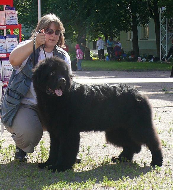 Фотография № 30676