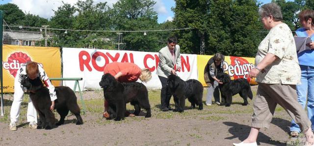 Фотография № 30677