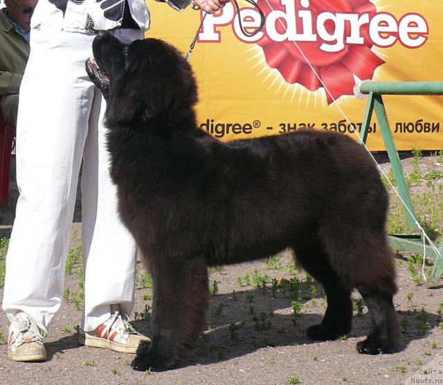 Фотография № 30678