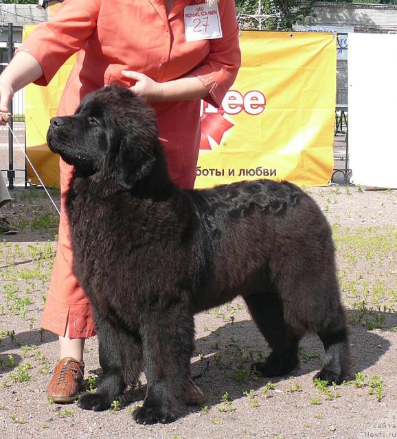 Фотография № 30679