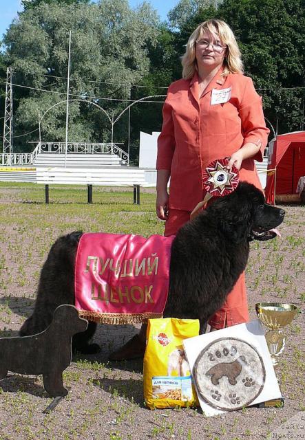 Фотография № 30684