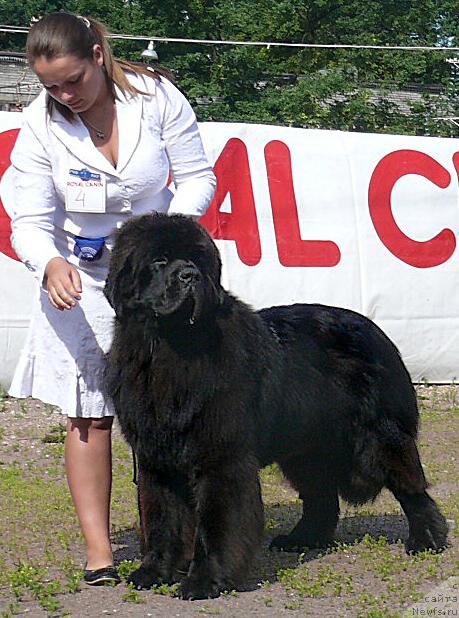 Фотография № 30687