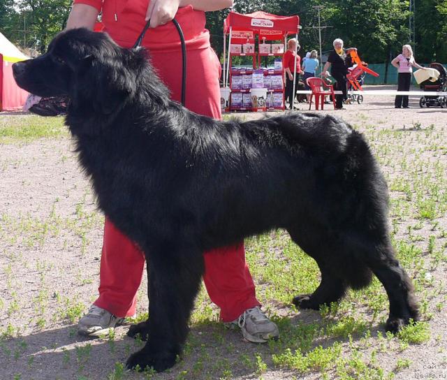 Фотография № 30689