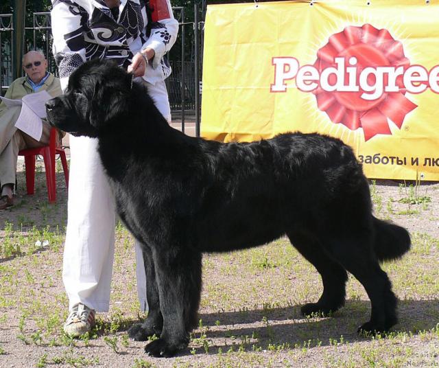 Фотография № 30693