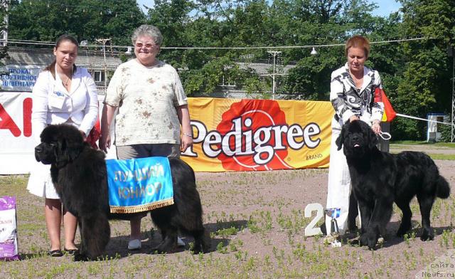 Фотография № 30696