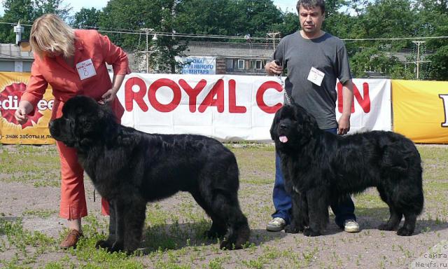 Фотография № 30707