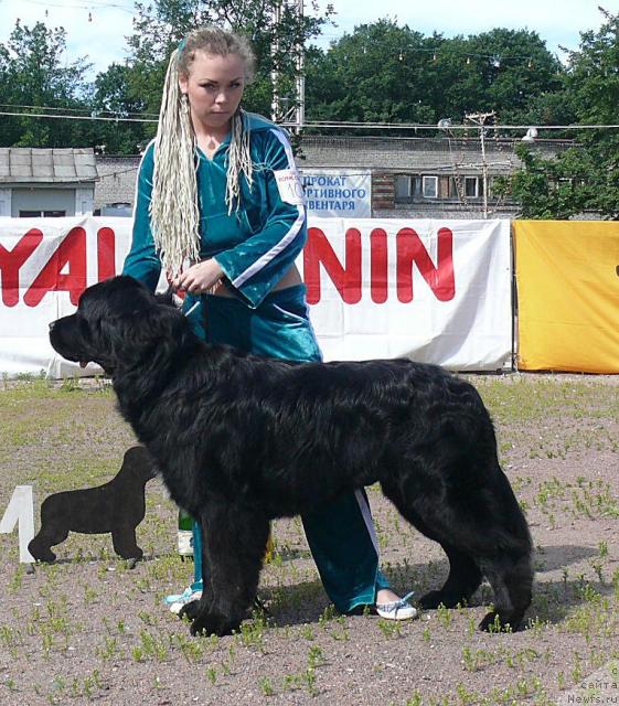 Фотография № 30708