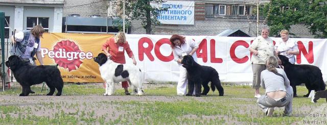 Фотография № 30710