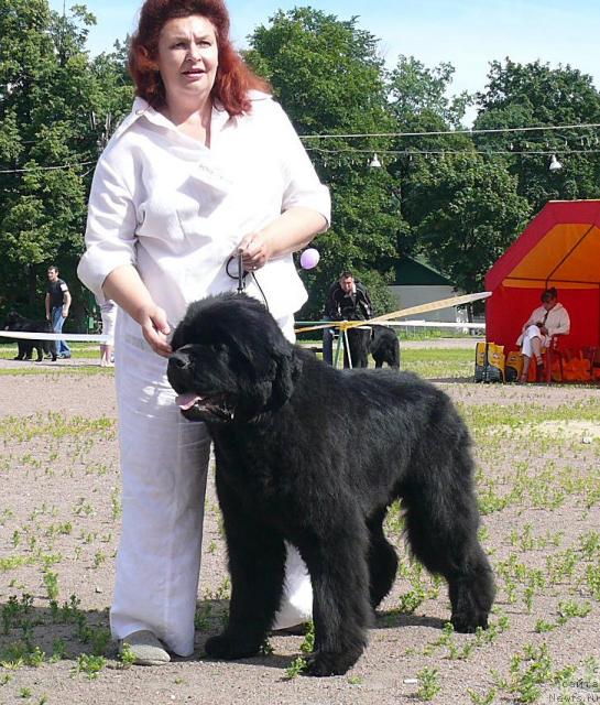 Фотография № 30714