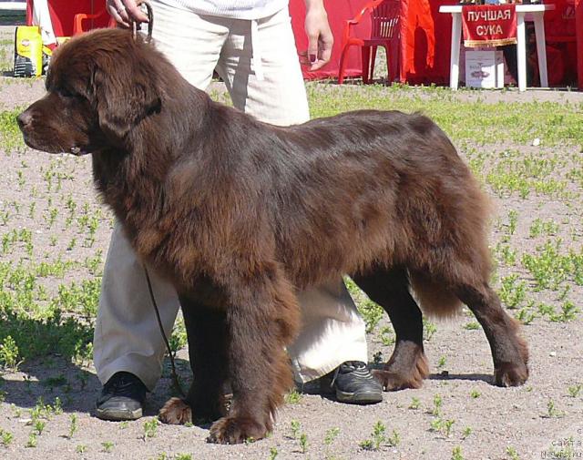 Фотография № 30727