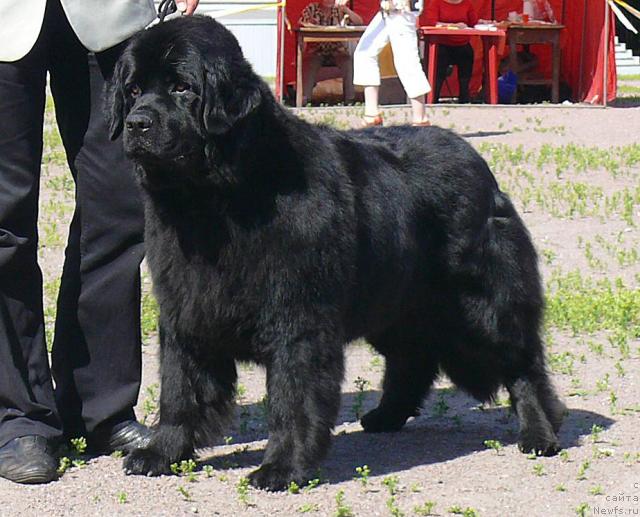 Фотография № 30729