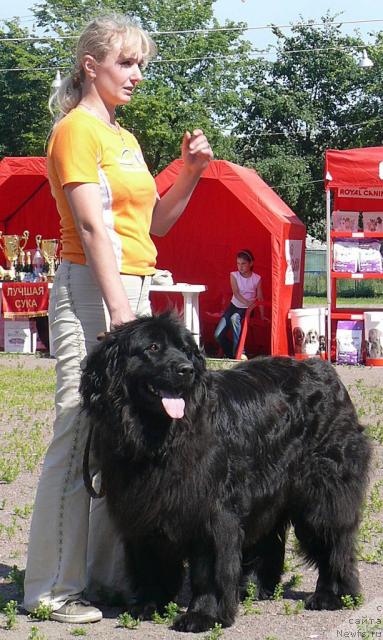 Фотография № 30730