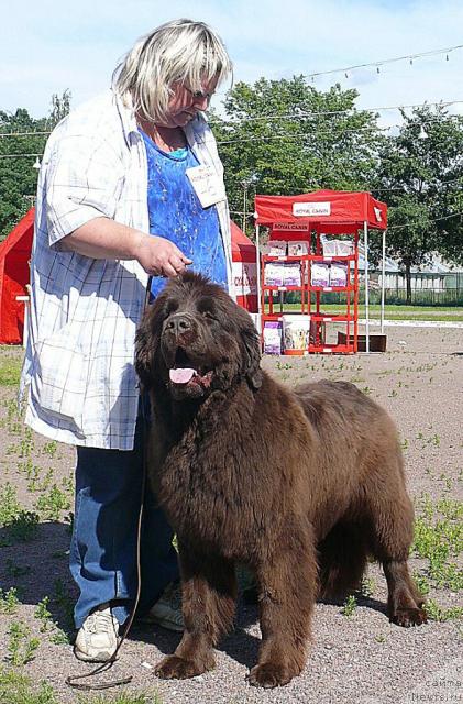 Фотография № 30739