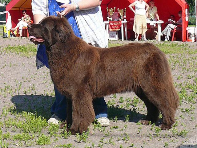 Фотография № 30742