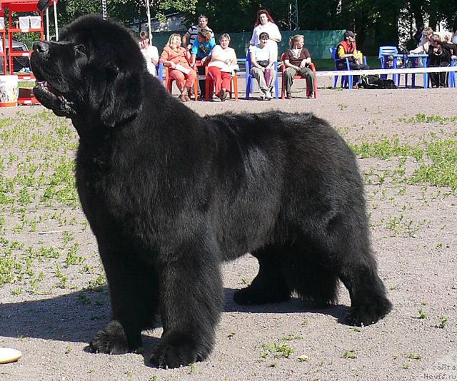 Фотография № 30744