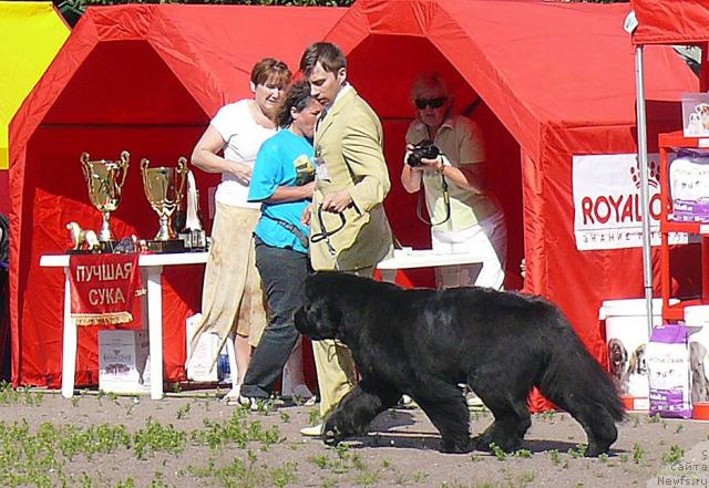 Фотография № 30745