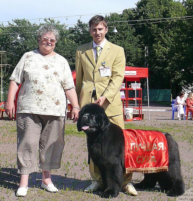 Фото: ньюфаундленд Skippers Open Arms