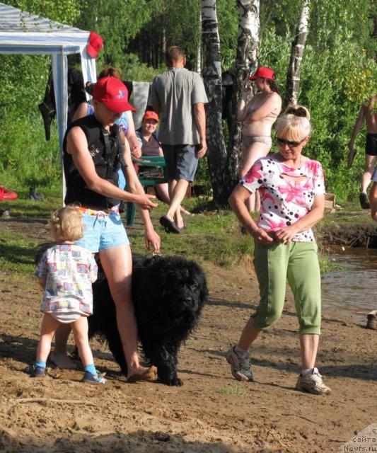 Фото: ньюфаундленд Чанси из Золотого Треугольника, Татьяна Розанова