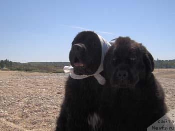 Фотография № 3085