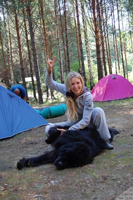 Фото: Александра Канунникова, ньюфаундленд Супер Премиум Вашингтон