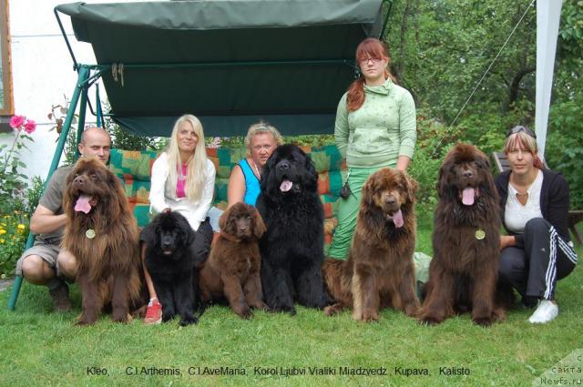 Фотография № 30944