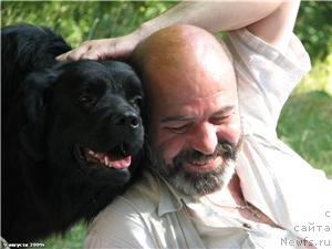 Фото: ньюфаундленд Полярная Ночка