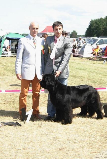 Фотография № 30970