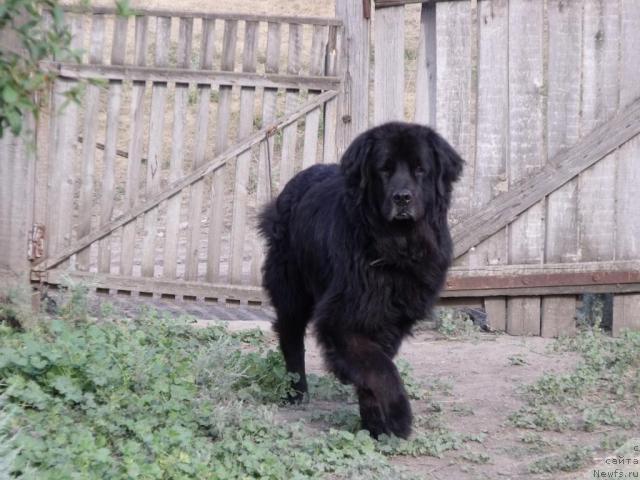 Фотография № 30973