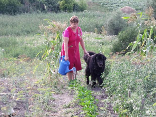 Фотография № 30974