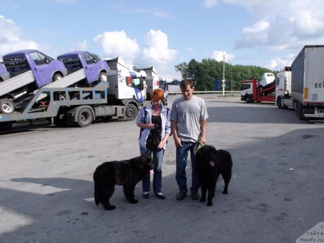 Фотография № 30975