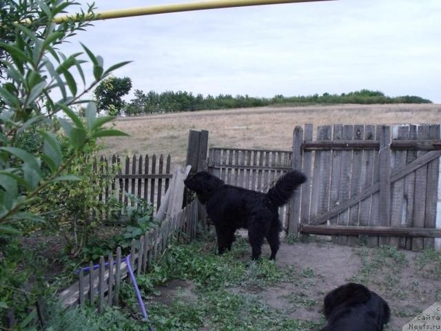 Фотография № 30976