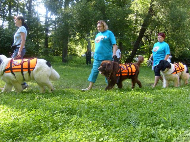 Фотография № 30978