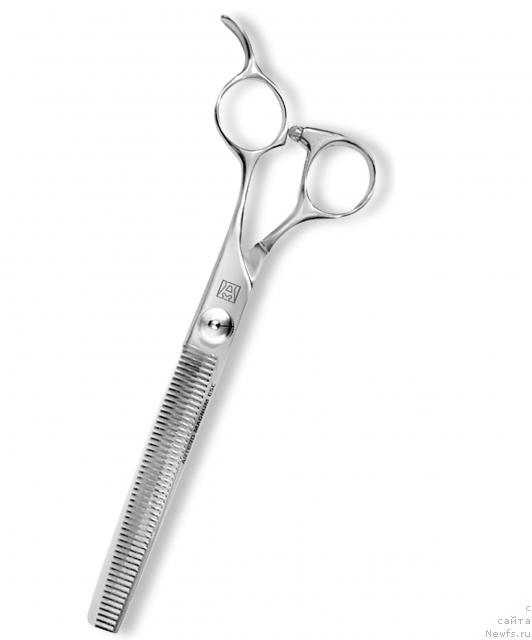 Фотография № 30989