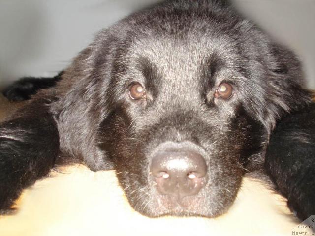 Фото: Алена Малых