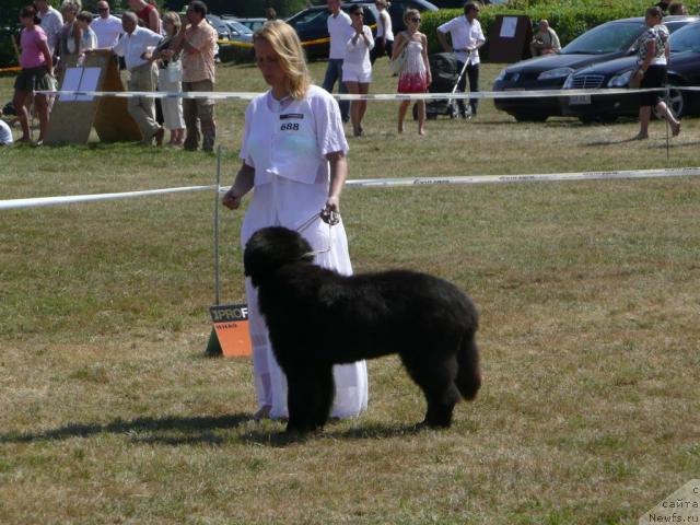 Фото: Oryn od Bileho Zamku Reno