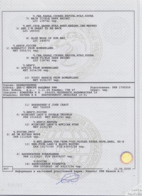 Фото: Вероника Батина