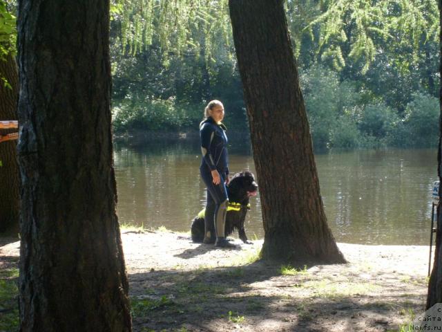 Фотография № 31021