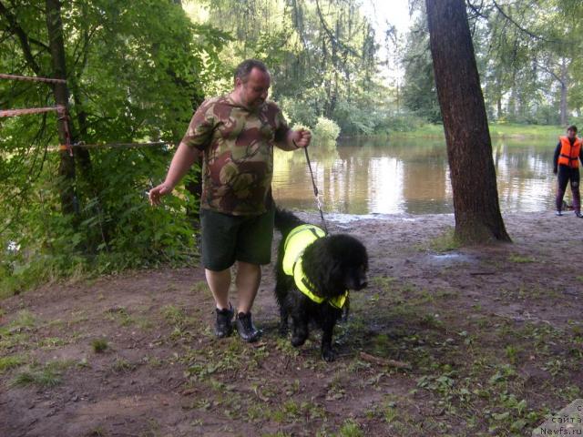 Фотография № 31027