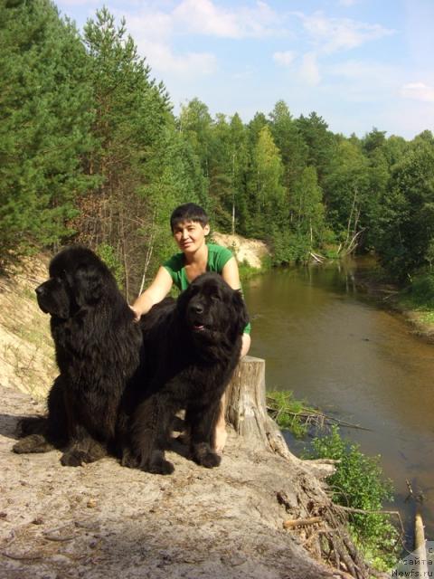 Фотография № 31056