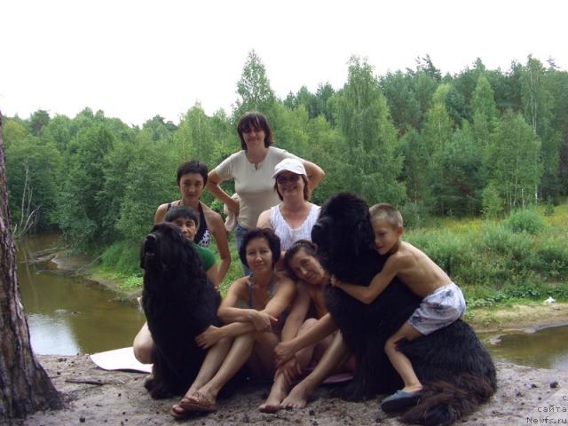 Фото: ньюфаундленд Лесная Сказка Лунная Соната, ньюфаундленд Акин Соул София