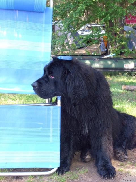 Фотография № 31061