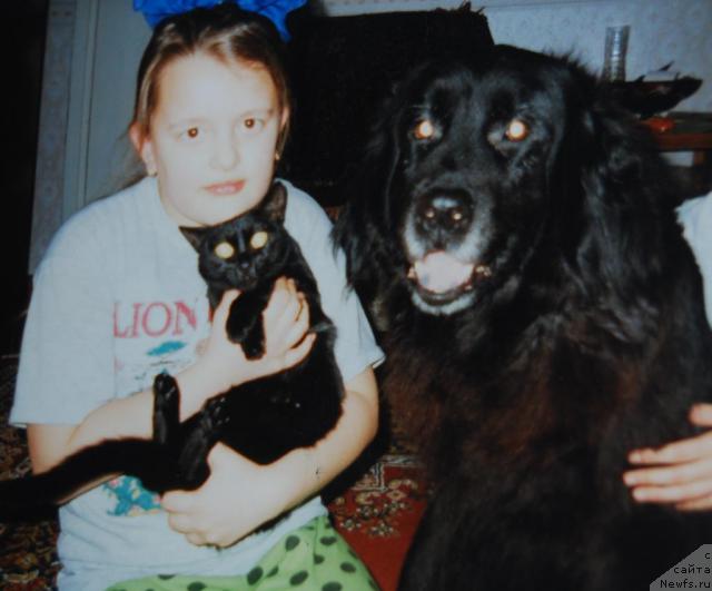 Фото: Елена Попова