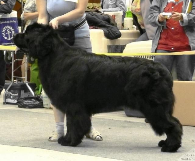 Фотография № 31133