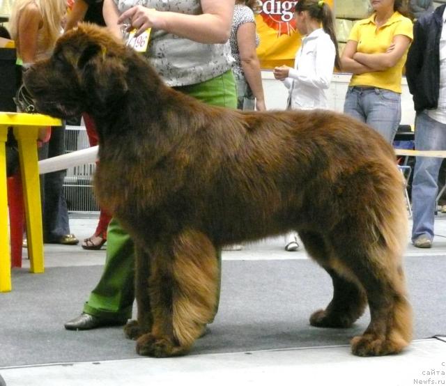 Фотография № 31134