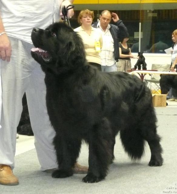 Фотография № 31136